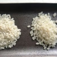 R4年産の備蓄米を食べてみました