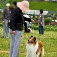 梅雨入り