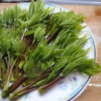 食卓には春風