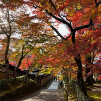 永源寺～百済寺の紅葉散策-滋賀県東近江市