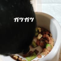 可愛い昔乙女