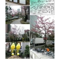 施設案内東京-540  赤坂サカス