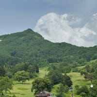 高山村のたけのこ街道は