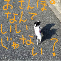 お散歩日和。