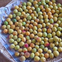 帯疱休題