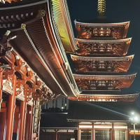 ほおずき市に行くの巻