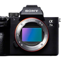 α7 III発表