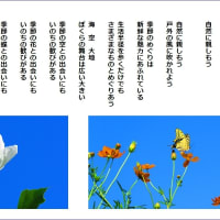自然に親しもう