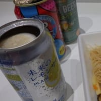 鉛飛散防止ネット