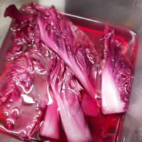 現在収穫できる野菜