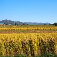 山形県・山形市の「蔵王上野の棚田」