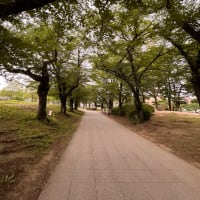 火曜日はお休みです。