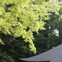 明日は雑用処理日