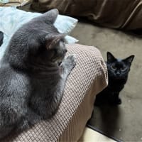 順番待ちｗ