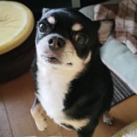 感謝のプレゼント