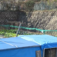 ブログ　休止中！