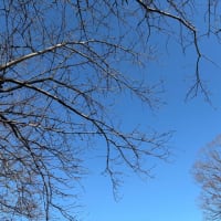 空色　桜色