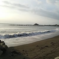 朝マヅメ...