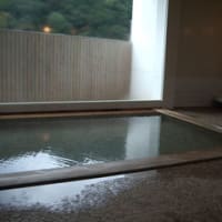 天城温泉　禅の湯