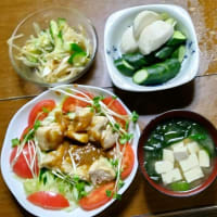 6/６　ばんごはん　棒棒鶏