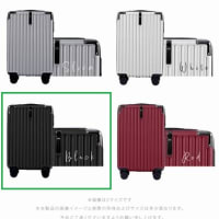2025年5月29日　【旅行】いわゆるよくある6代目小型スーツケース購入