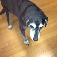 やっとやっと