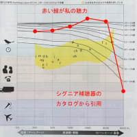 聴力の検査（2025年6月）
