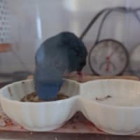 エアコンとヒータ―の関係