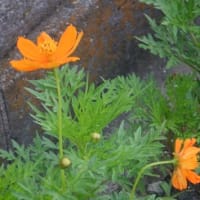 天候不良の合間に