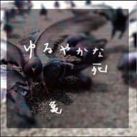 亀「ゆるやかな死」