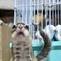 あれ？もう7月も終わり？！
