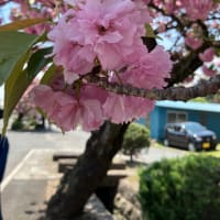 2025年4月の読書メーターまとめ