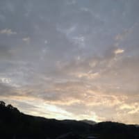 晴れそうな気がする薄雲の空