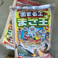 庭づくりを再開しました