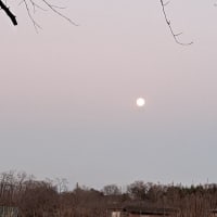 夕暮れに月は登りますね