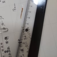 棘というにはちょっと