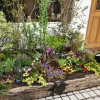 美容室ブルグリの花壇