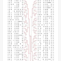 ２０２５新入生応援フェア&小島杯男子途中経過