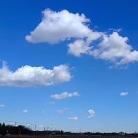 今日の氣功モニターご予約状況
