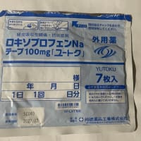 怖い女　足腰鍛えに丹沢に行く。リハビリ腰痛治療。