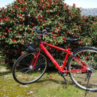赤い自転車　22