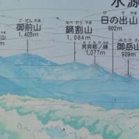 腰痛になり、今日はデスコンになった小さなNikon1カメラで狭山湖に