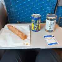 20205.06.30　松山〜岡山〜名古屋〜三重に戻りました