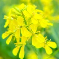 2025年３月４月の予定です
