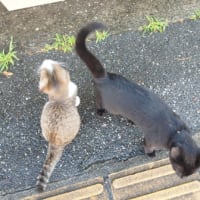 久々の
