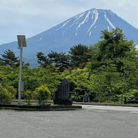 若葉の輝き富士のエナジー・・・富士山めぐりと信州春旅2025＜５＞
