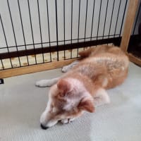 今日のヒカリ
