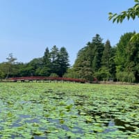 平川さがりを応援！さるかde BBQ