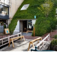 前橋まちなか、蕎麦と酒が楽しめる素敵なお店。＠蕎麦・酒　亀甲（きっこう）／前橋市