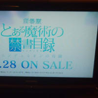 【2013年を振り返る】8/24・25 山梨・長野遠征 旅行記 ④ 身延→甲府(1日目終了迄)